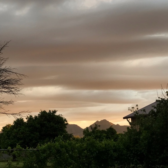 Meet your Posher, Jade - Picture 1 of 1